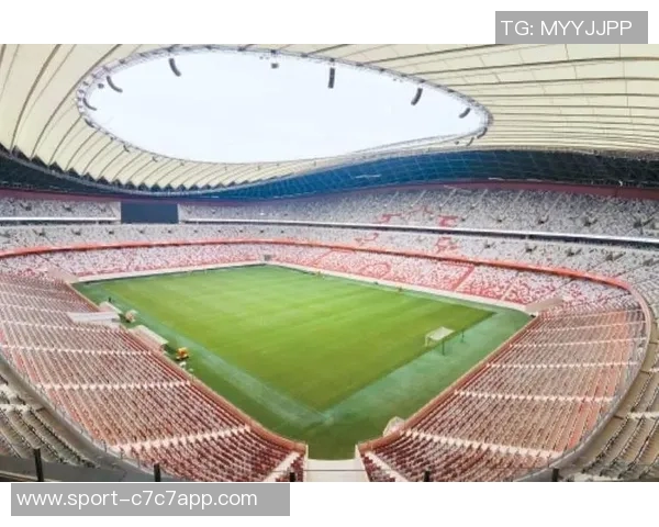 足球现场音效的魅力与影响力探讨如何提升观赛体验与氛围营造